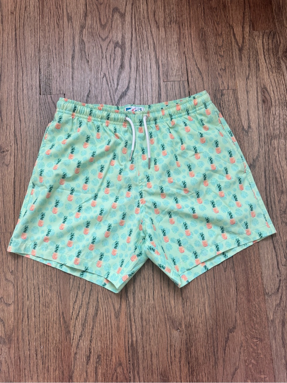 Men's Pineapple-Print Swim Trunks - Mint